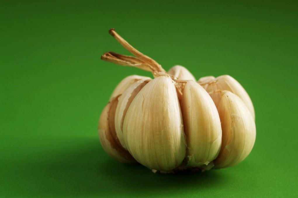 cabeza entera de ajo