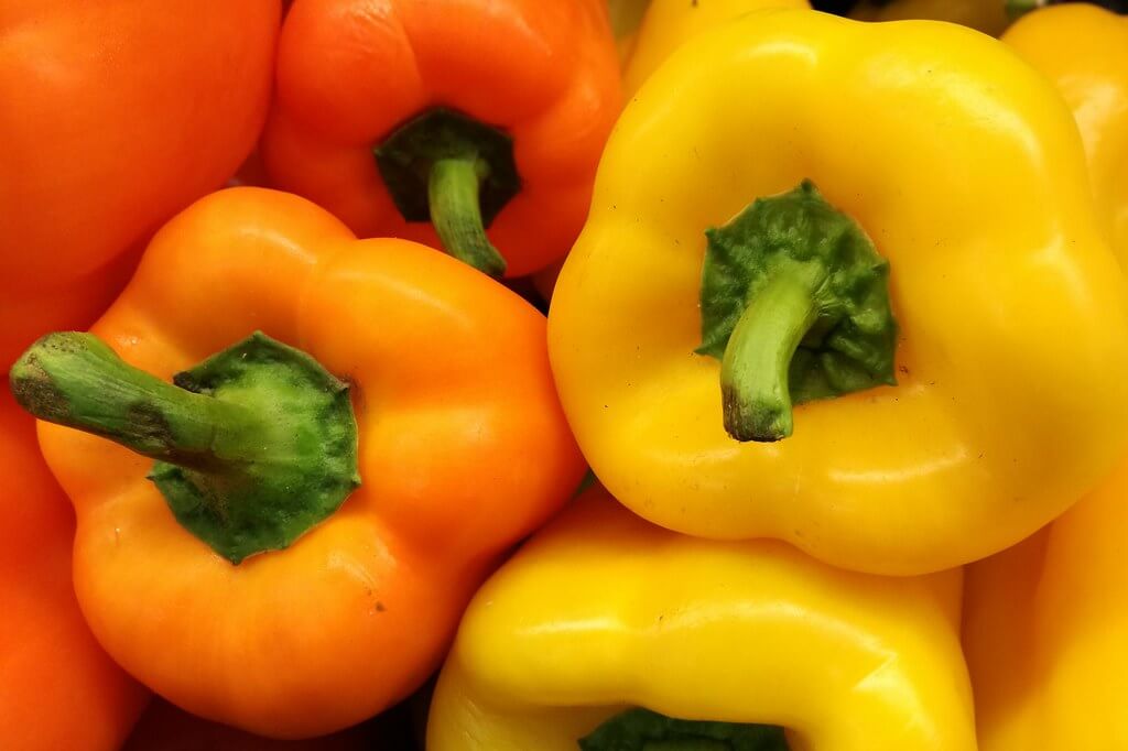 sistema inmunológico