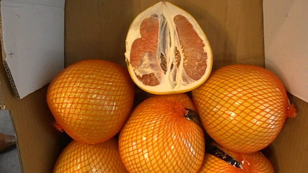 pomelos
