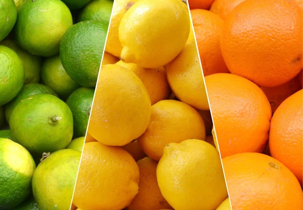 sistema inmunológico