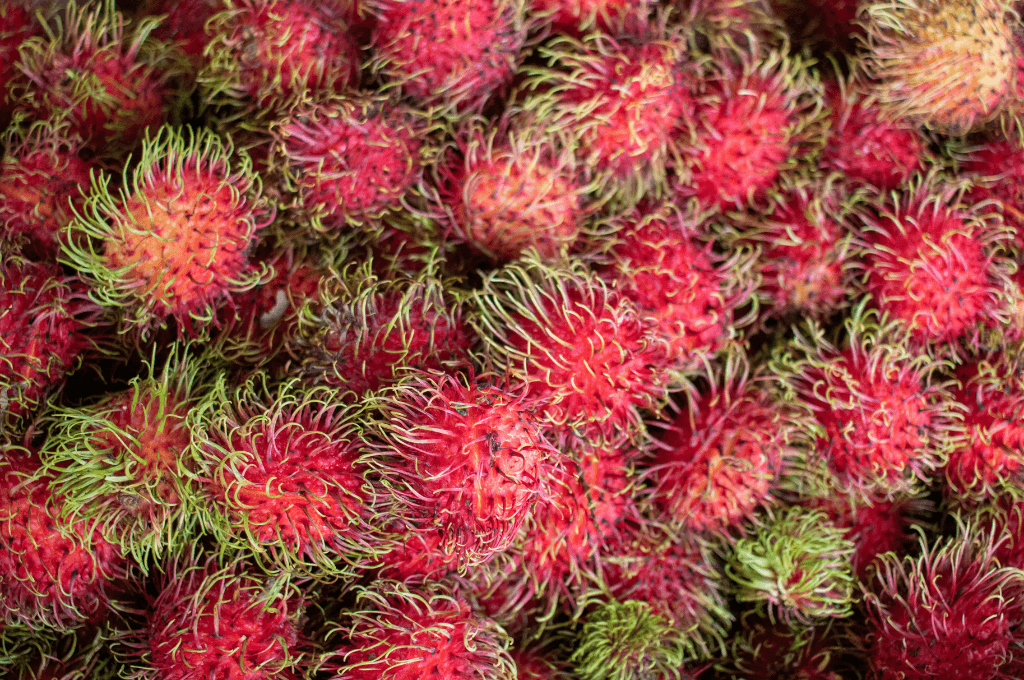 El rambután o lichas El rambután o lichas