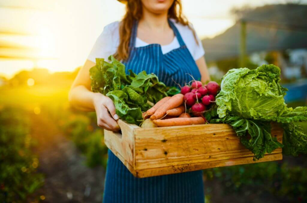 frutas y verduras de temporada