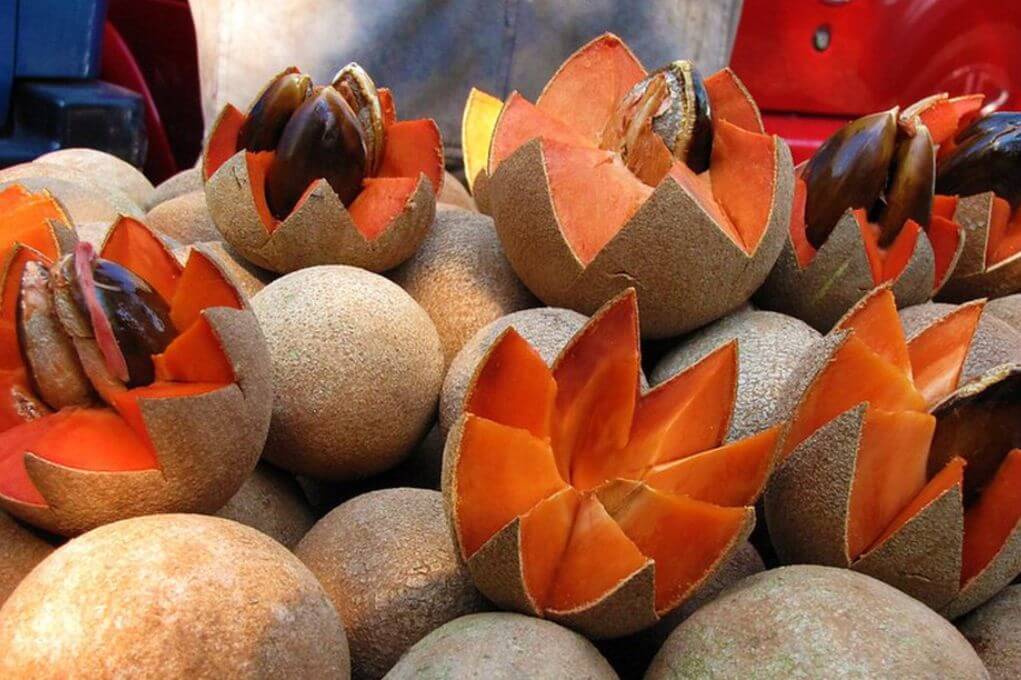 Trucos para elegir el zapote más dulce